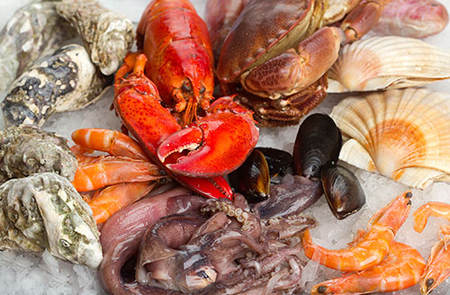 Assortment of edible fresh fish and shellfish - Stock Image - H110