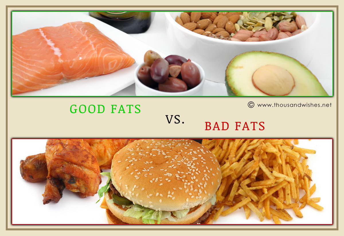 Understanding Dietary Fats Women s Health Research Institute