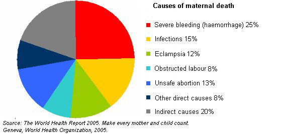 Image: http://www.who.int/making_pregnancy_safer/topics/maternal_mortality/en/index.html)