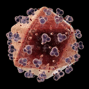 http://i.livescience.com/images/060104_hiv_virus_02.jpg